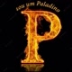 PALADINO NEW
