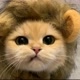 Lovely cute Baby