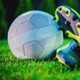 newsfootball03