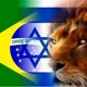 só animal