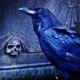 Corveratu News