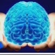 Cortes_Consciencia