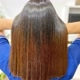 Progressiva Oliveira