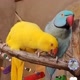 Videosnarrados24
