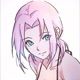 💗 sakura 💗