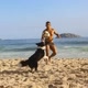 dog_altinha