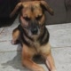 Pikka Do Universo