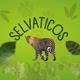 Selvativos 🐆🍃