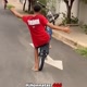familia_dg244