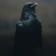 Karasu