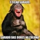 Dantas T8