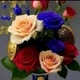 flores ideias