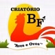 criatoriobfaveseovos