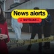 NewsAlerts