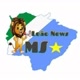 Leaonewsms