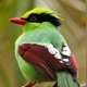 Mundo Natureza