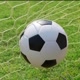 Futebol No Sangue