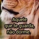 Adriana Messias oficial