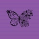 angel💜army
