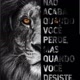 Edites tom fonce