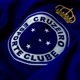 CRUZEIRO NA VEIA 🦊