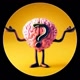 cerebrocurioso.qi