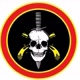 CORONEL SHELBY