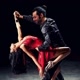 dancy  day