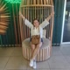 Cris_Oficial a manazinha