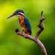 Natureza Divina