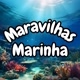 Maravilhas Marinha .🇧🇷🐠🐙🌊🐟🦈🪸