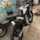 grau_244