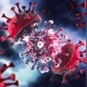 VIRAL VIDEOS