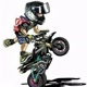 GRAUS 🏍️ E REBAIXADOS🏎️