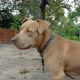 Zeus＠