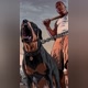 EQUIPE CÃO GRANDE