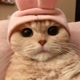 ＠babyFunny.Tv