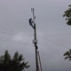 Nicodemos（ Telecom）