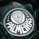 PALMEIRAS ⚽💚🙏