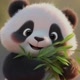Geronimo panda