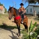 hilbertediasalenda