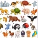 Mundo.animal