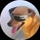 vídeos_aleatorio☺️