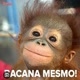 As melhores de 2024