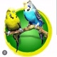 Amigos de penas