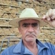bicho do mato.