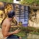 andre_1m_