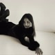 Dança