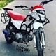 🇧🇷HENRIQUE _244_FF_011_grau🇧🇷 🅥