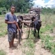 jader_ribeiro_do_mato